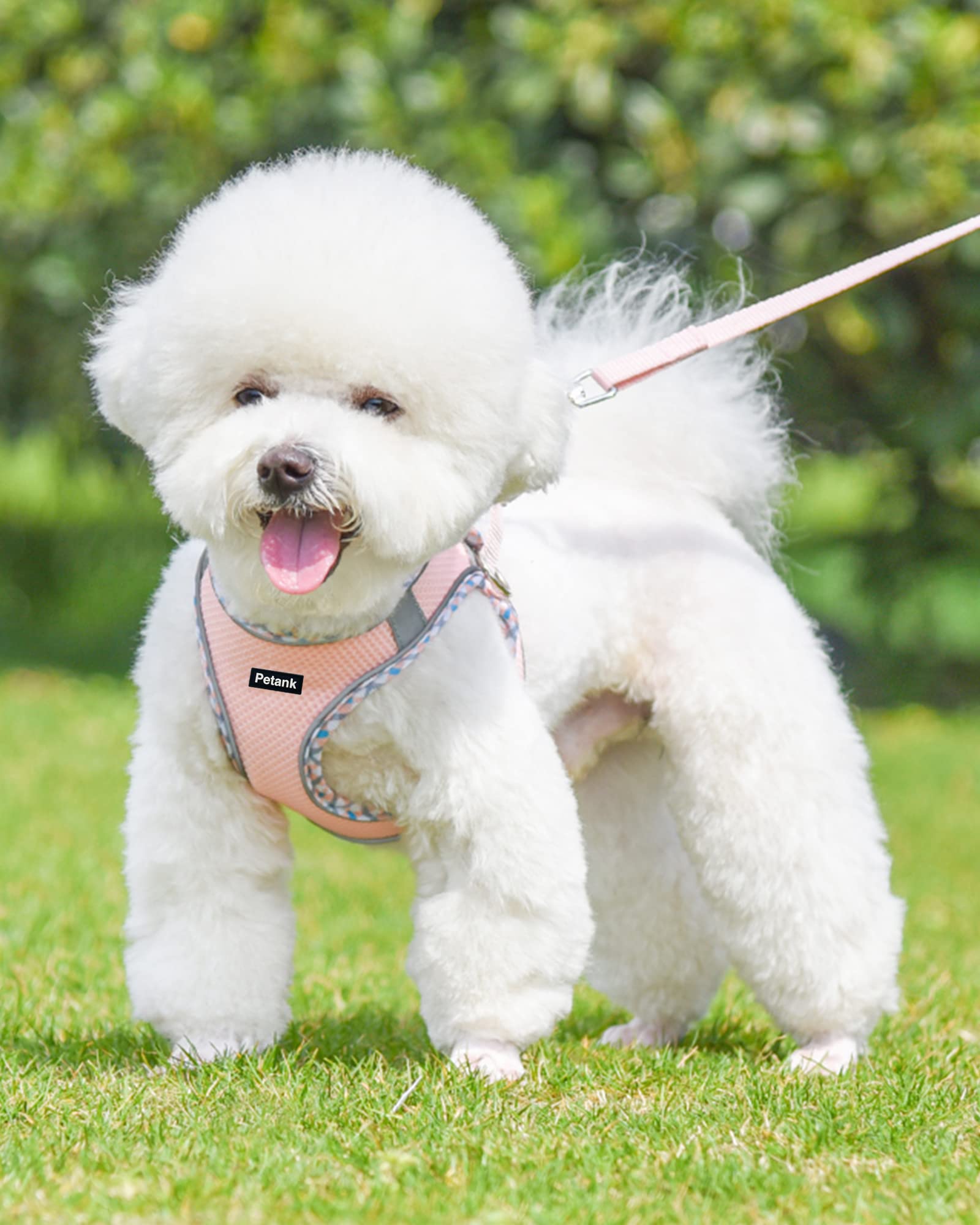 Petank arnés para perro mediano sin tirones, ideal para entrenamiento.