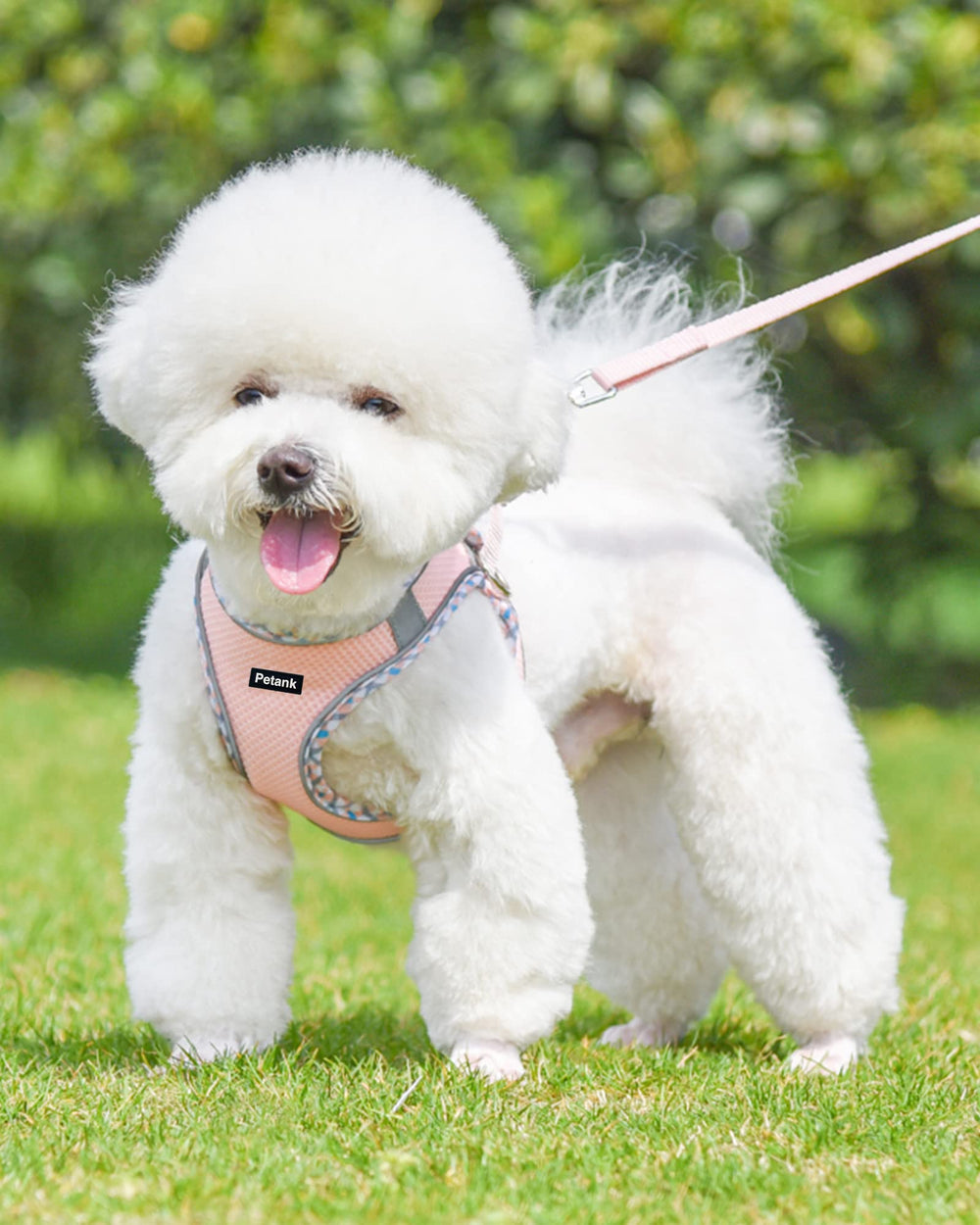 Petank arnés para perro mediano sin tirones, ideal para entrenamiento.