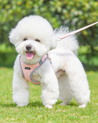 Petank arnés para perro mediano sin tirones, ideal para entrenamiento.