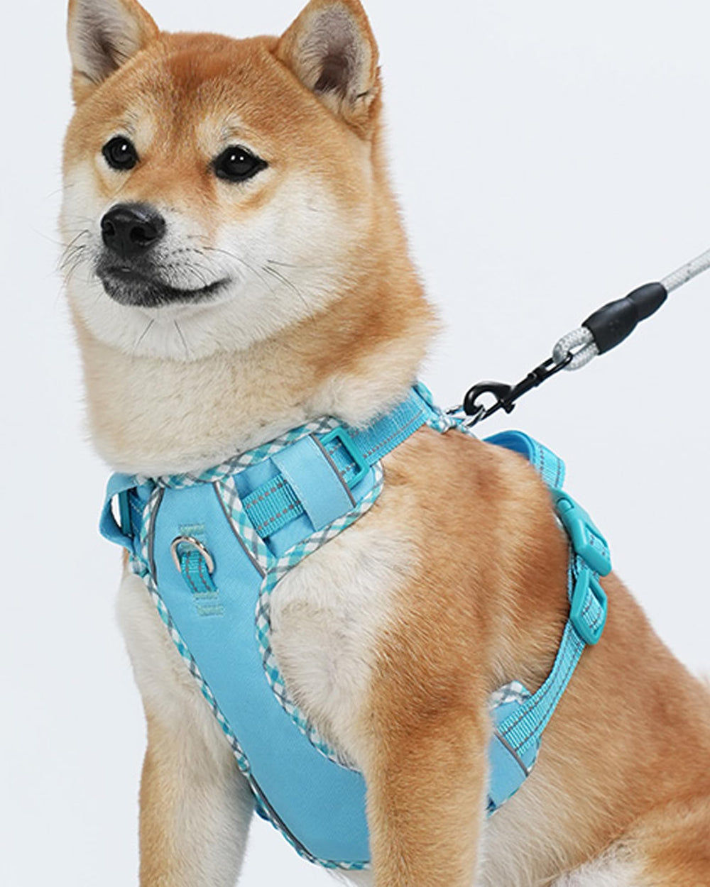 Petank arnés para perro pequeño azul con ajuste, distribución de carga para mayor control.