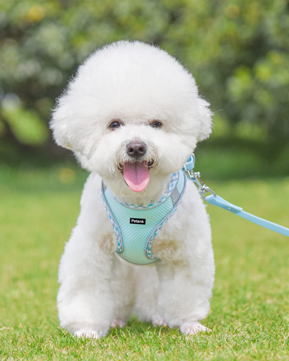 Petank arnés con malla jacquard transpirable, verano más cómodo para el perro.