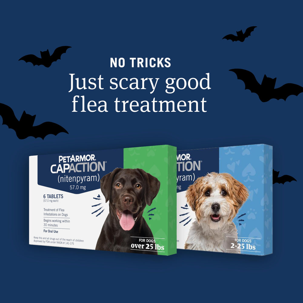 PetArmor CAPACTION: tableta oral para perros pequeños, fácil de administrar.