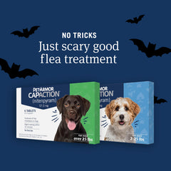 PetArmor CAPACTION: tableta oral para perros pequeños, fácil de administrar.