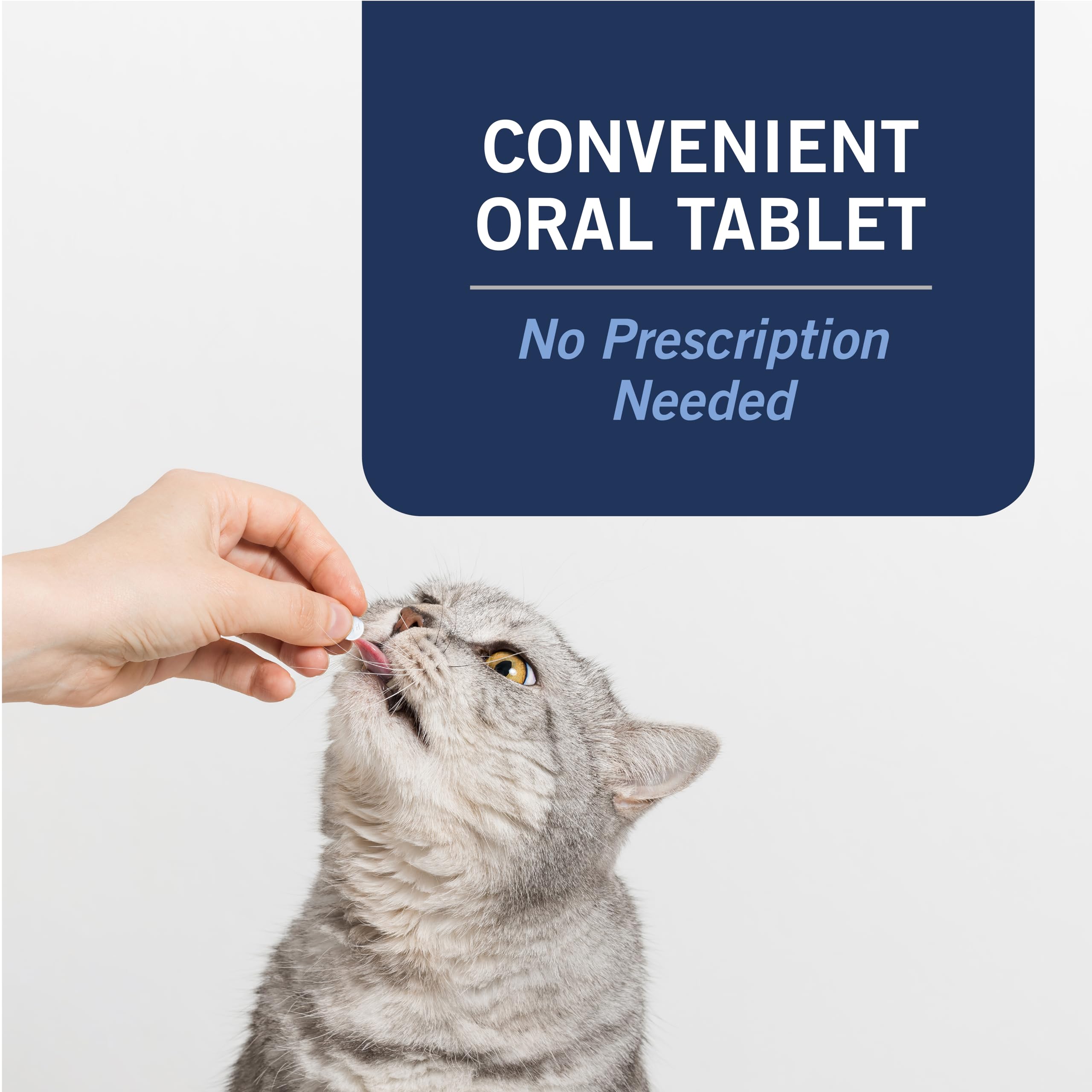 Sin receta veterinaria para CAPACTION.