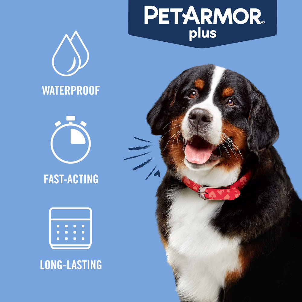 PetArmor Plus: pulgas y garrapatas en perro XL cubiertos por tratamiento eficaz