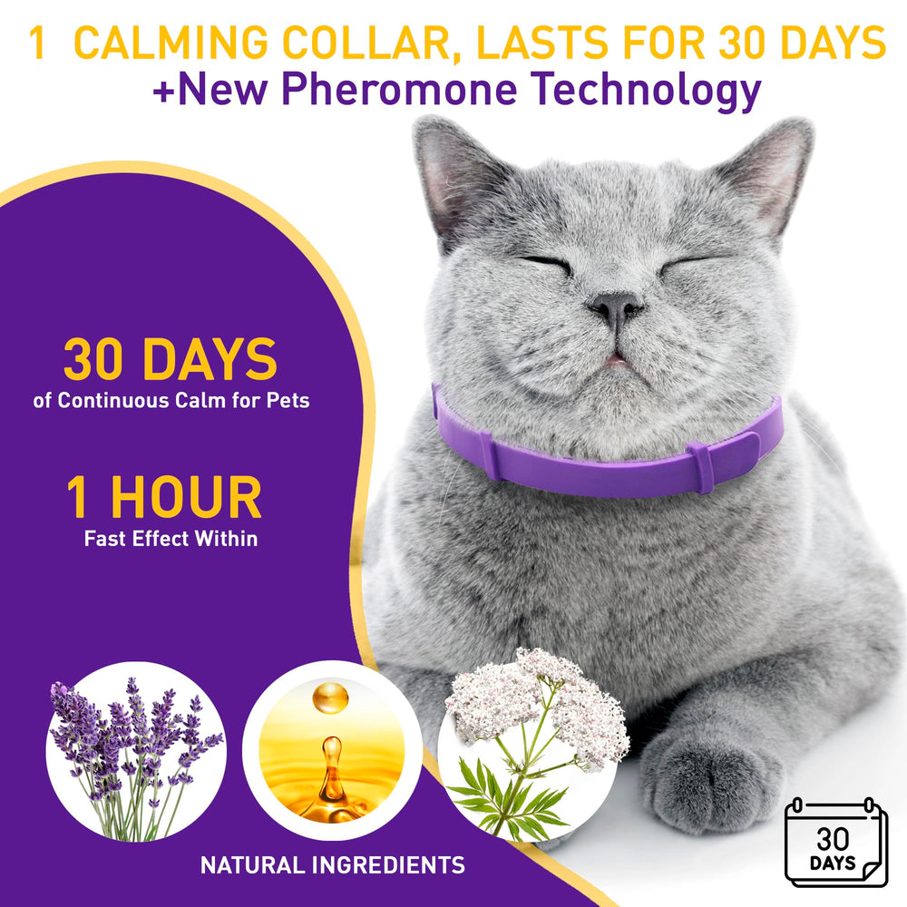 PetAtlas collar calmante para gatos duración de hasta 30 días
