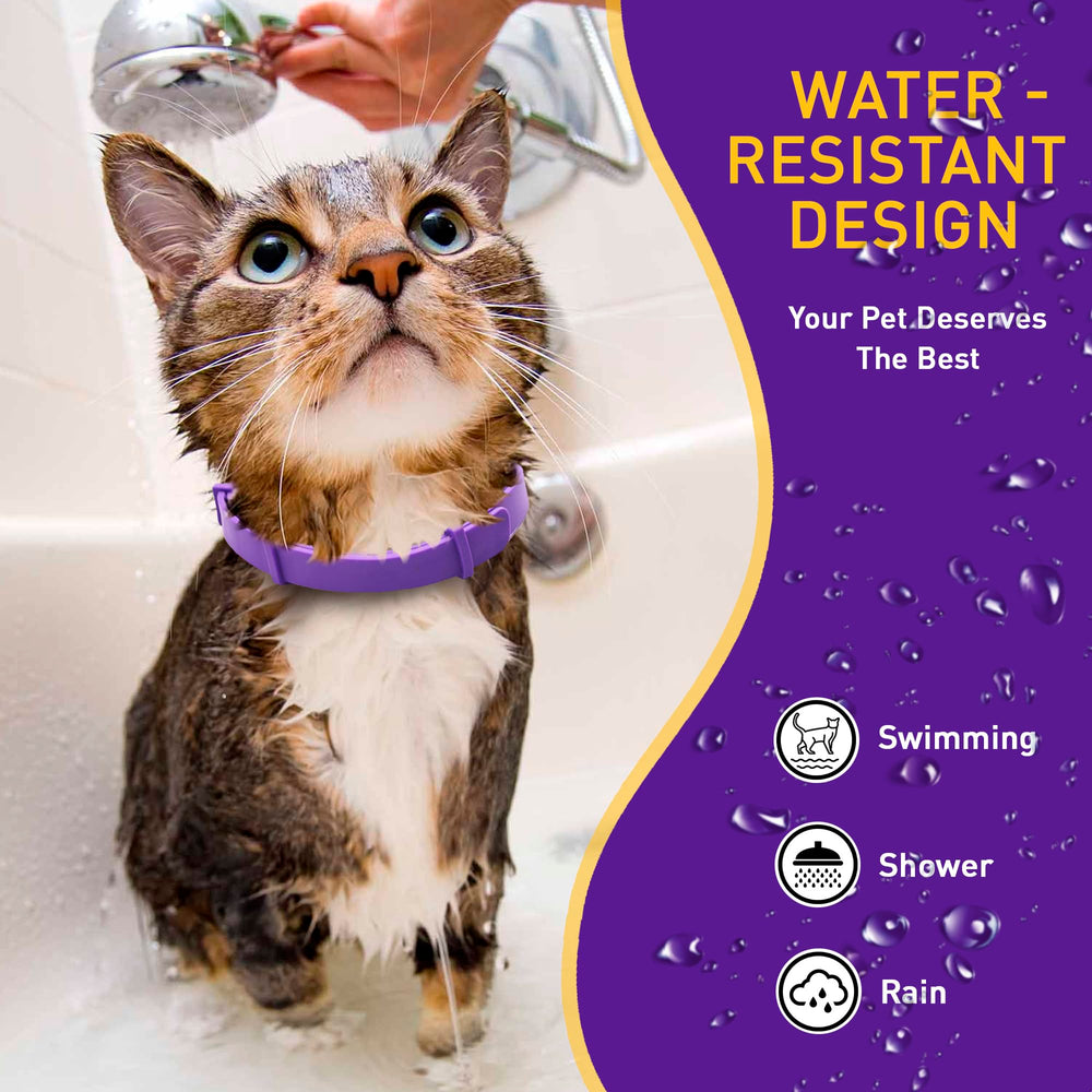 PetAtlas collar calmante para gatos resistente al agua para uso diario