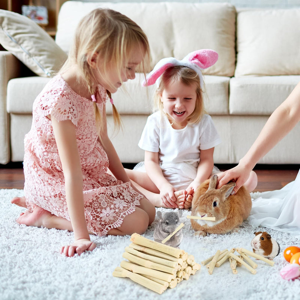 Petawi bastones bambú dulces para jerbo: juego interactivo y cuidado dental.
