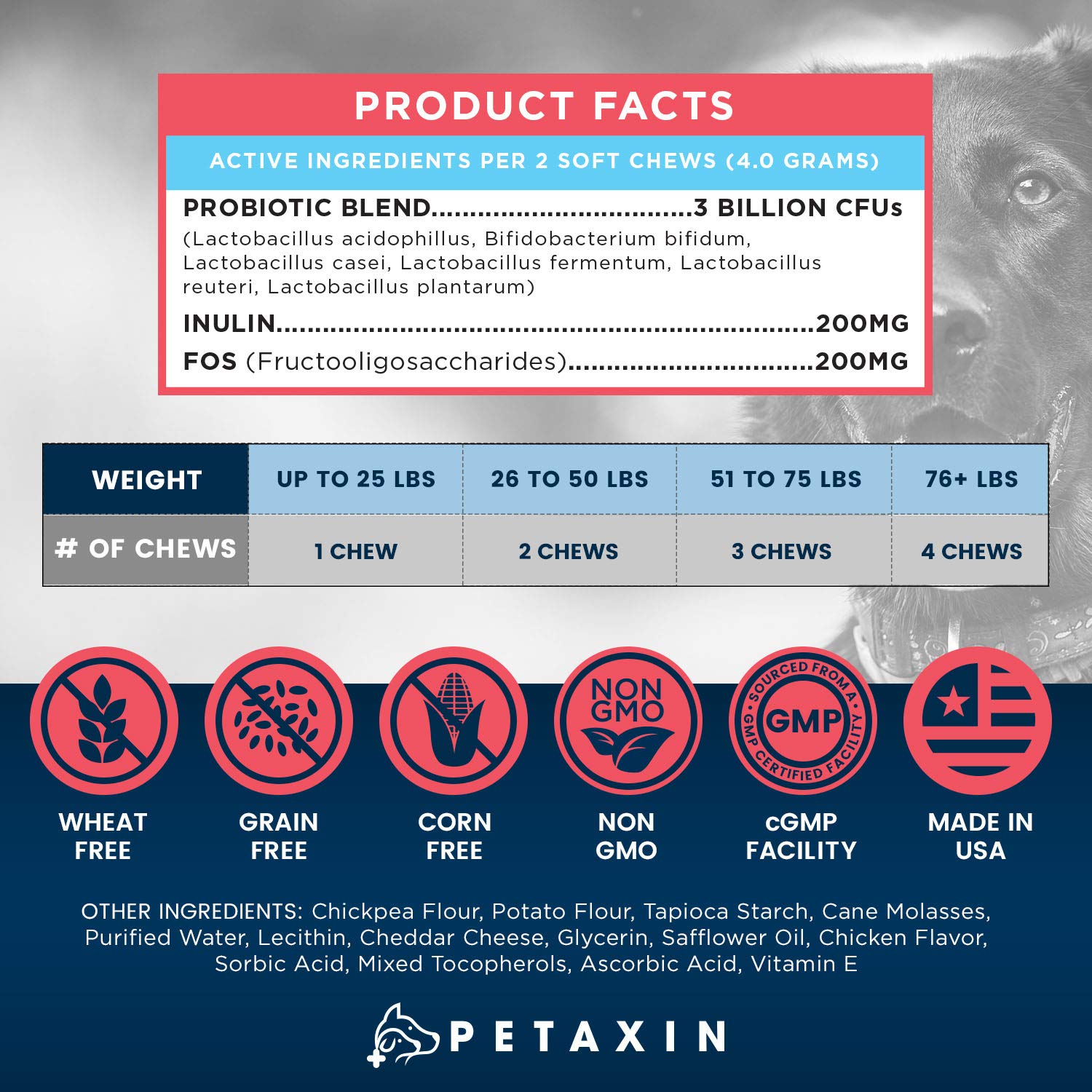 Petaxin Probiotics para perros, enfoque en apoyo inmunológico