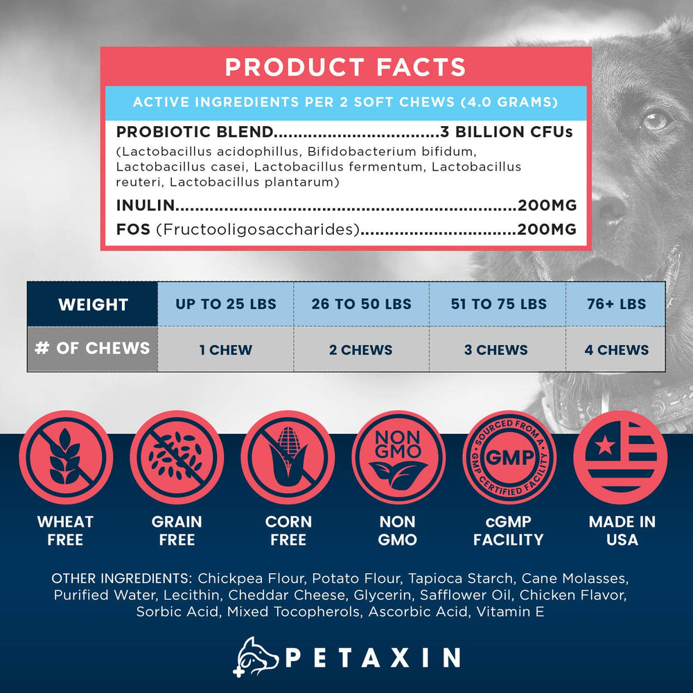 Petaxin Probiotics para perros, enfoque en apoyo inmunológico