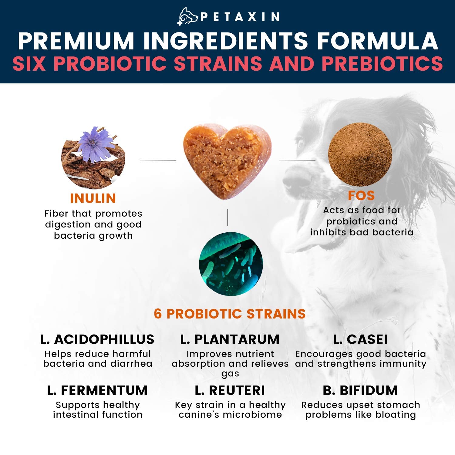Petaxin Probiotics para perros, masticables servidos en plato