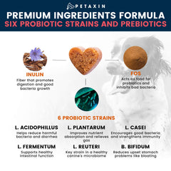 Petaxin Probiotics para perros, masticables servidos en plato