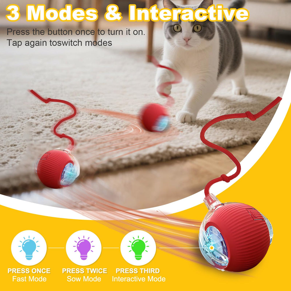 Petayouj pelota con luces LED para gatos, atracción visual en casa