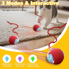 Petayouj pelota con luces LED para gatos, atracción visual en casa