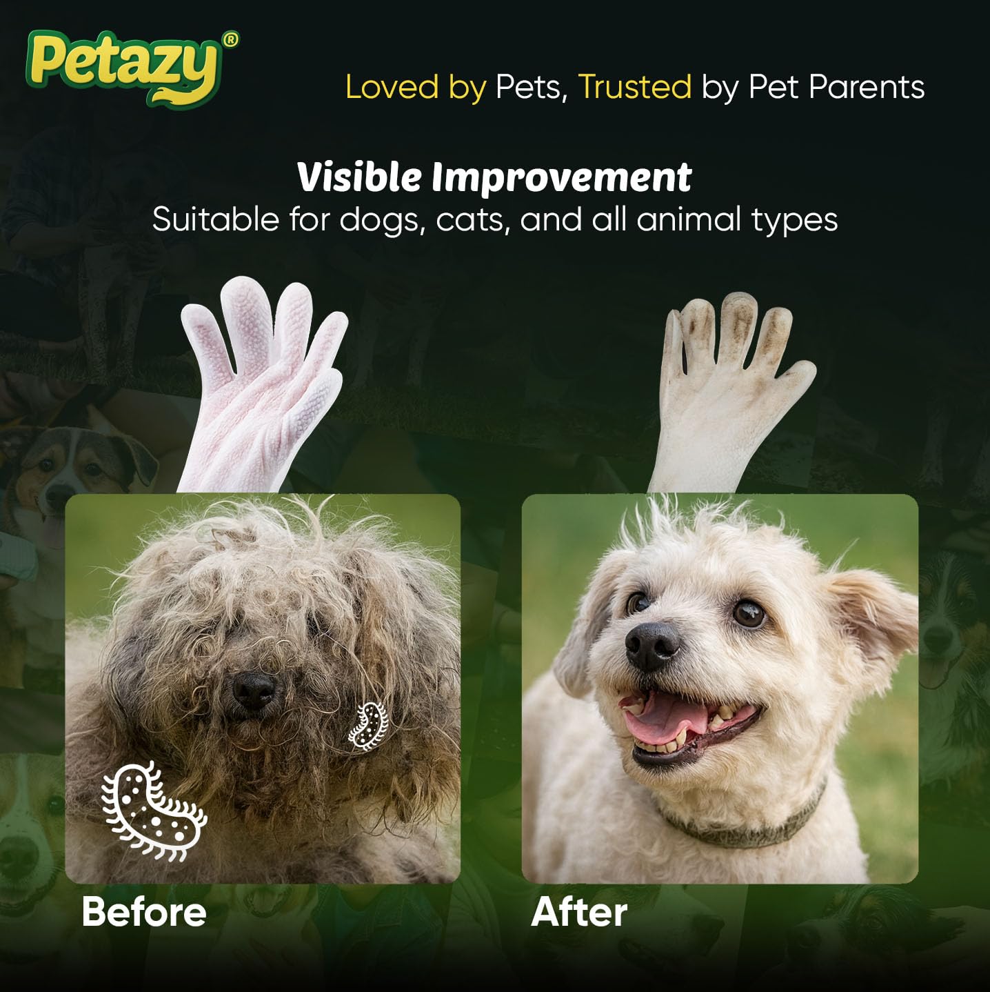 Limpieza facial de gato con Petazy para zonas delicadas.