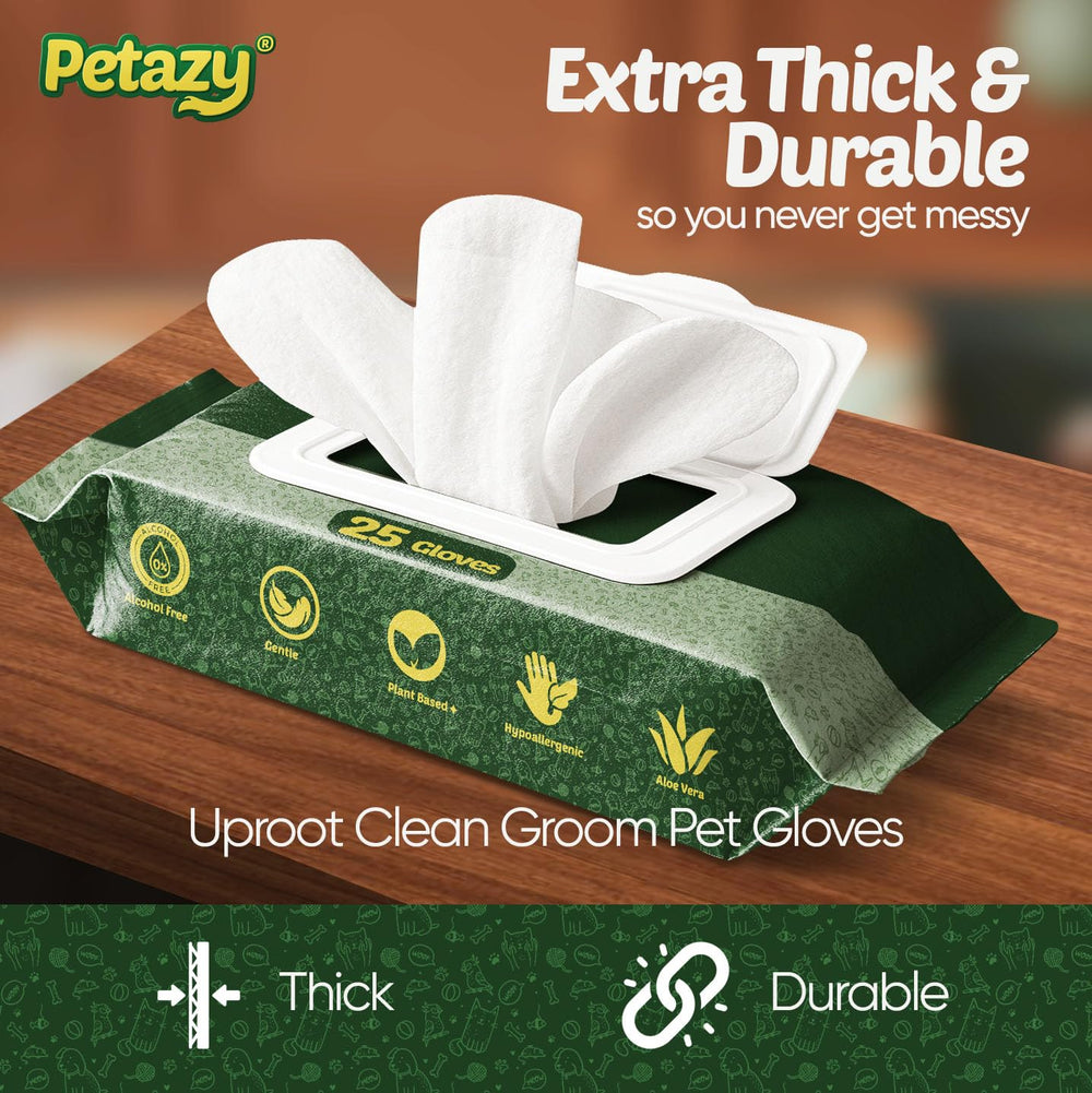 Limpieza de orejas suave con Petazy para evitar irritaciones.