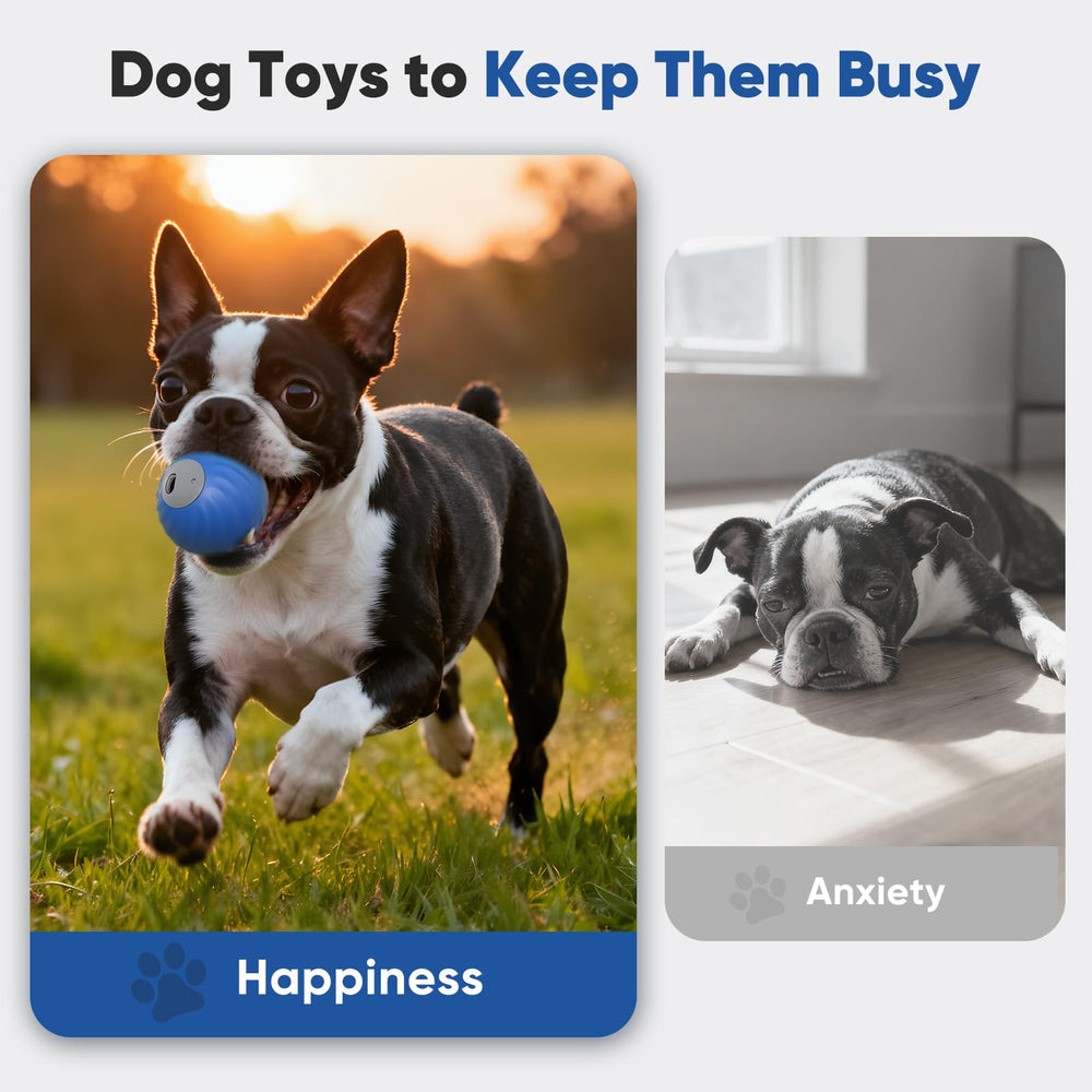 Petbobi bola estimula inteligencia y juego activo en perros.