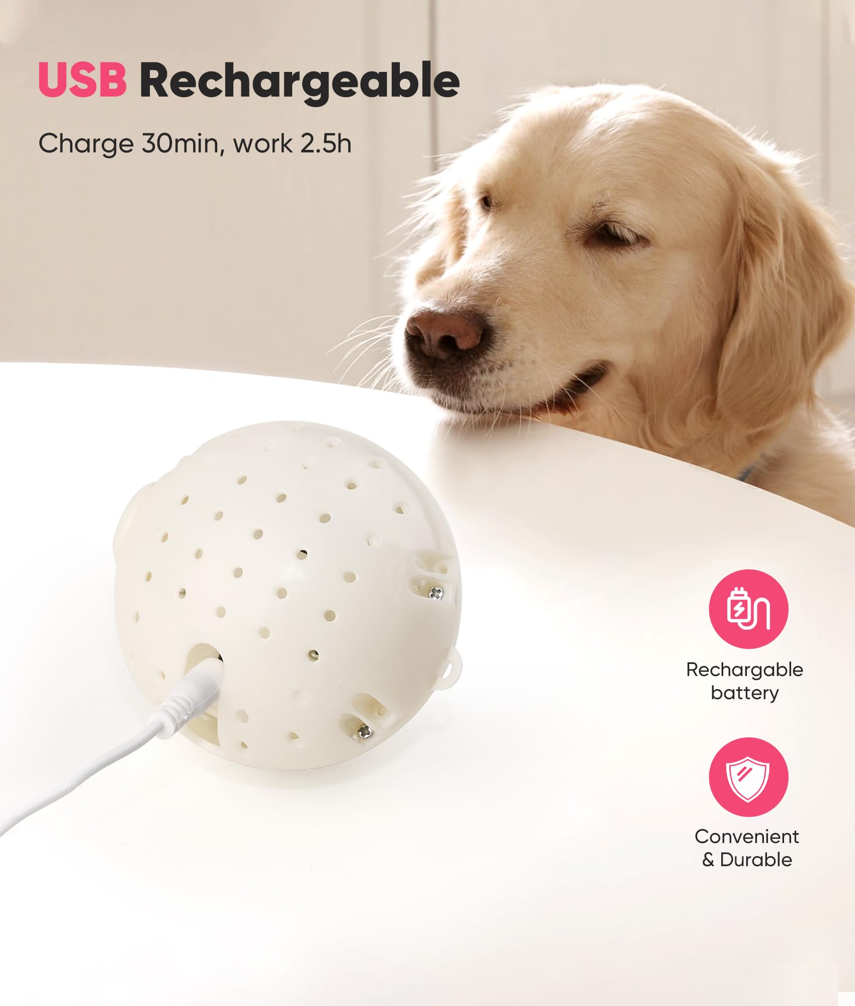 Petbobi: regalo ideal para perros, horas de juego durante fiestas
