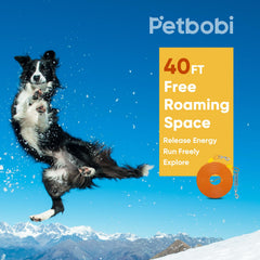 Petbobi rosca-360-grados-rotacion evita enredos cuando el perro se mueve.