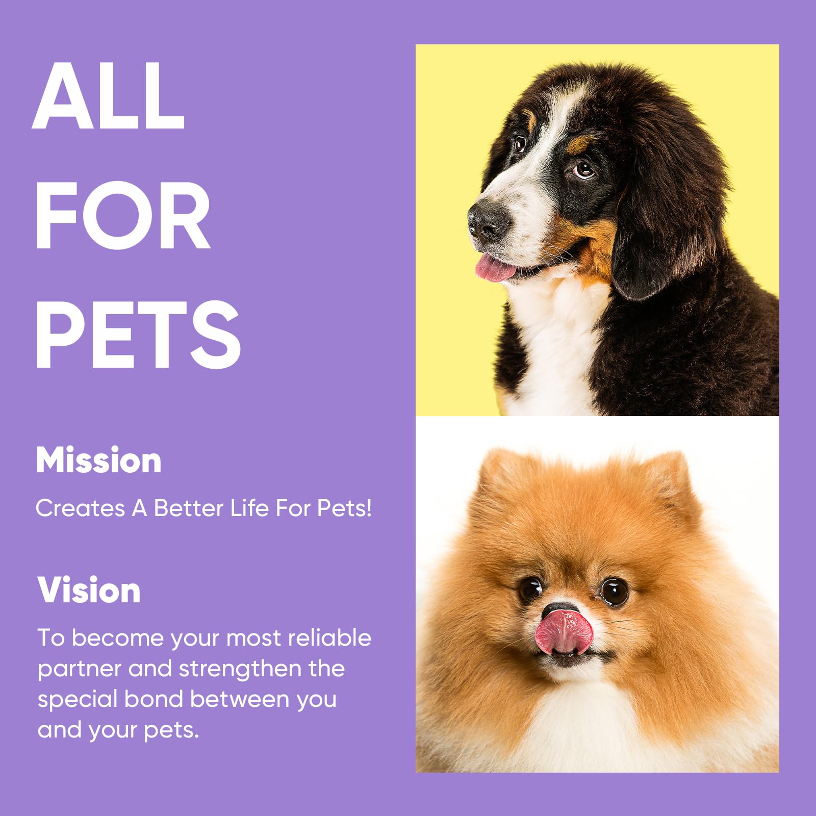 Petbobi-sistema-antienredos-360, seguridad y libertad para perros grandes.