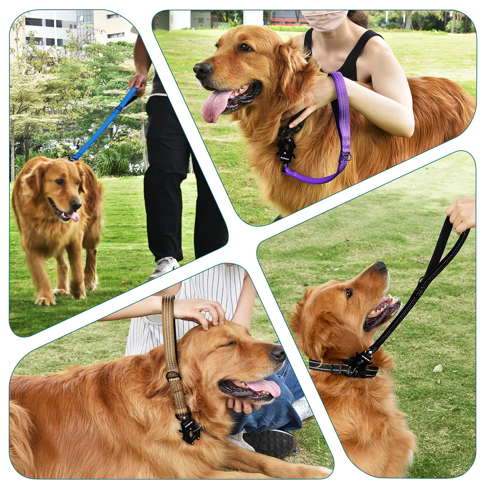 PetBonus anilla D-ring para accesorios de paseo y organización.