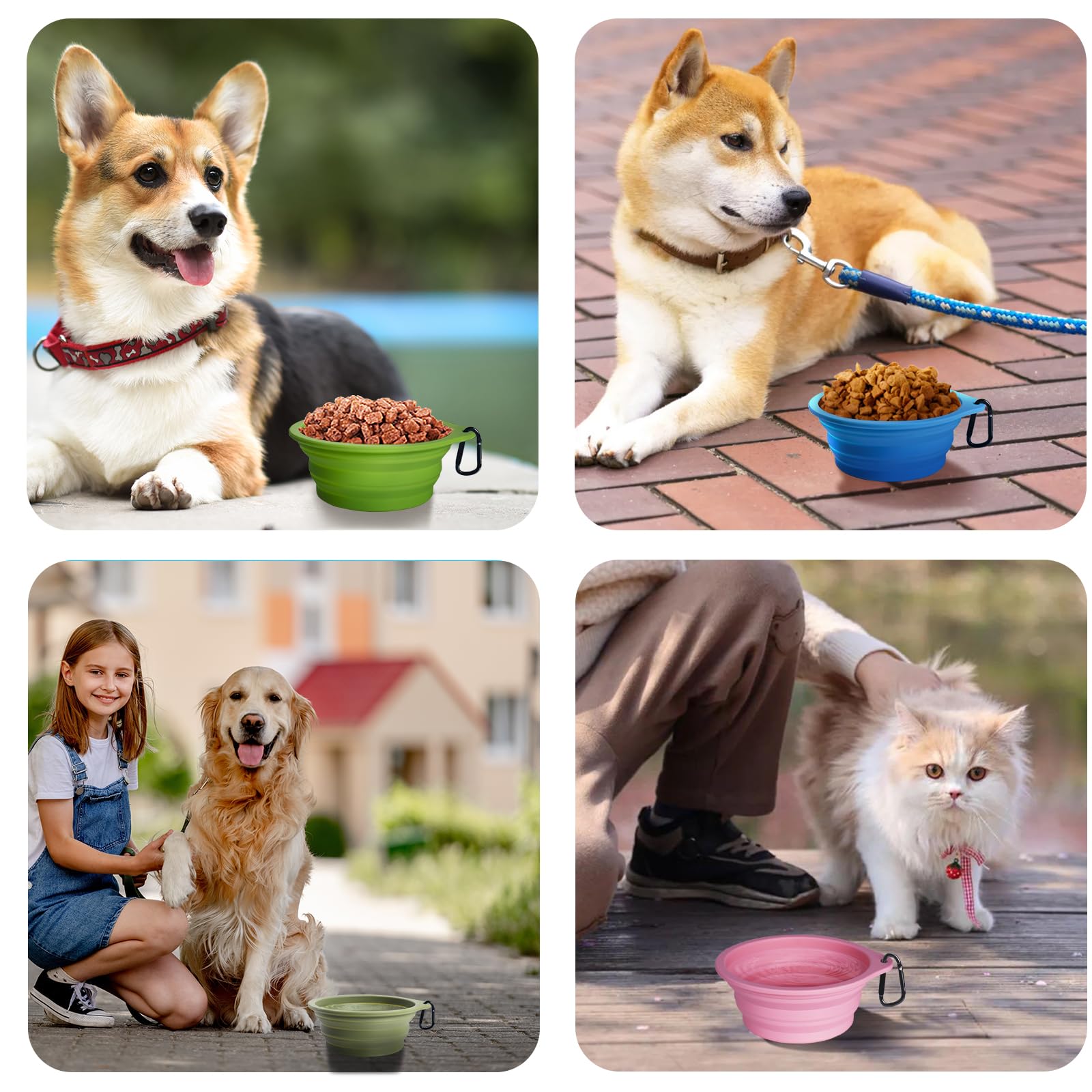 PetBonus apto para lavavajillas, limpieza rápida y sencilla.