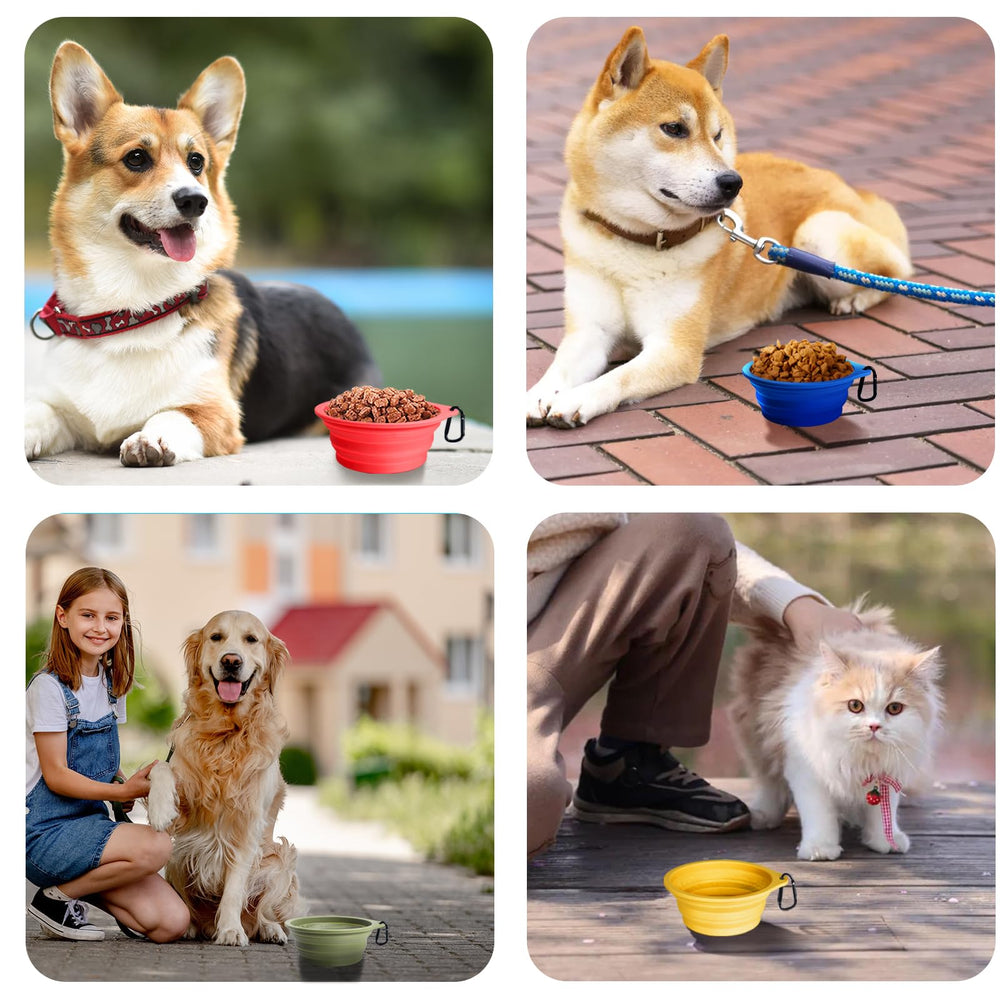 PetBonus apto lavavajillas, limpieza rápida tras cada salida.