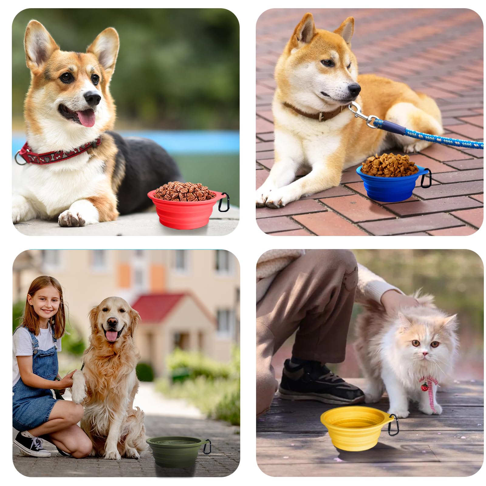 PetBonus apto para lavavajillas y limpieza fácil