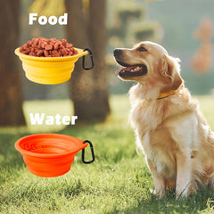 PetBonus capacidad 34oz, perfecto para agua o comida