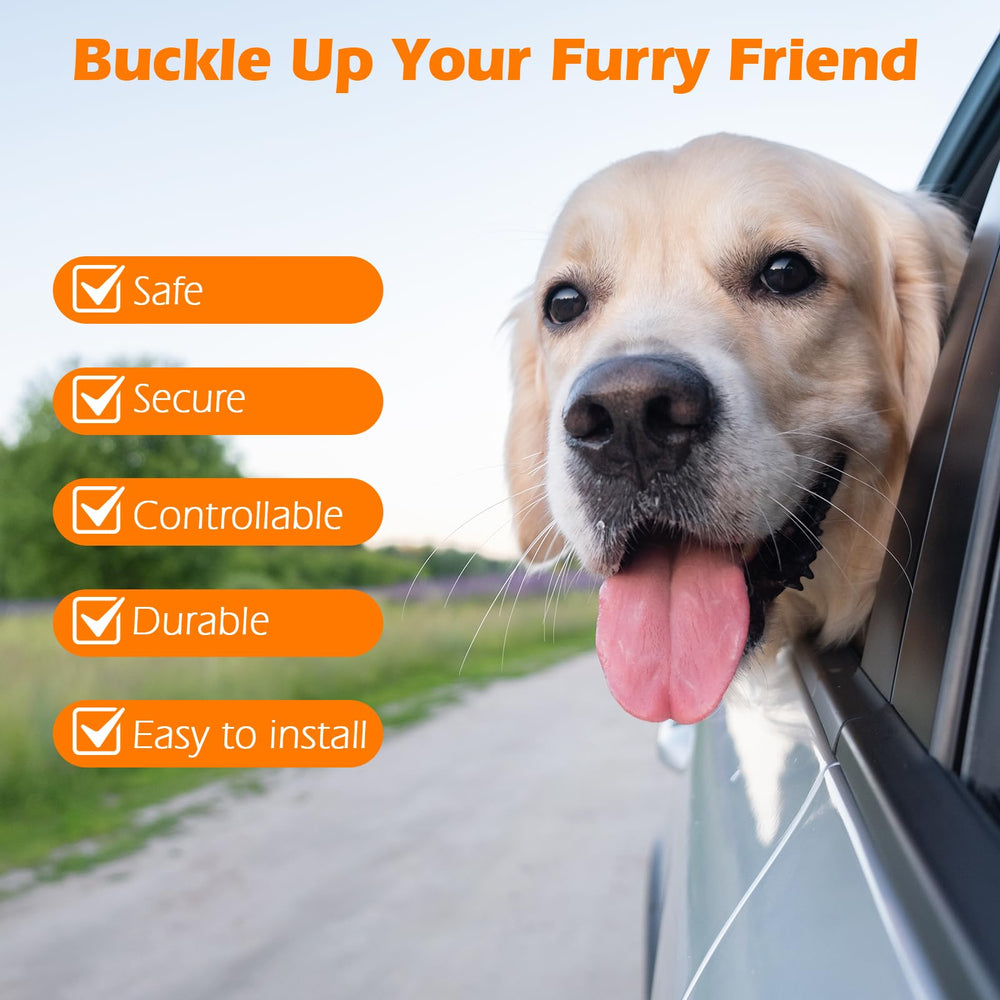PetBonus comodidad-piloto: paseo tranquilo para tu perro durante el viaje.