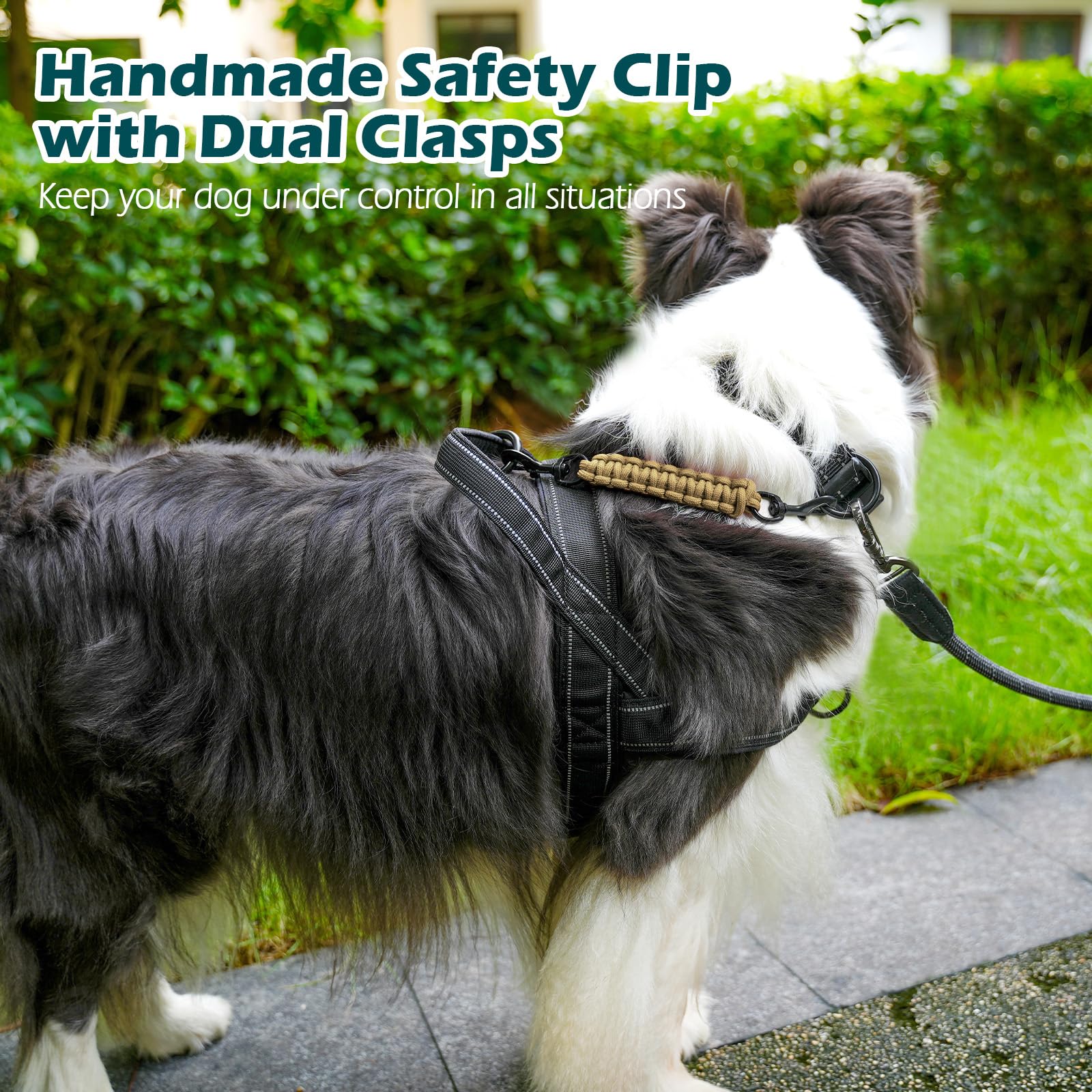 PetBonus compatible con varios collares y arneses para perros.