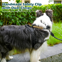 PetBonus compatible con varios collares y arneses para perros.