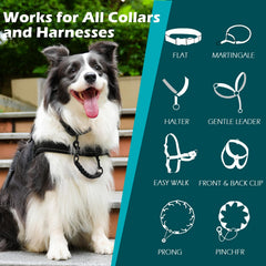 PetBonus conector doble extremo, conecta collar y arnés con unión sólida