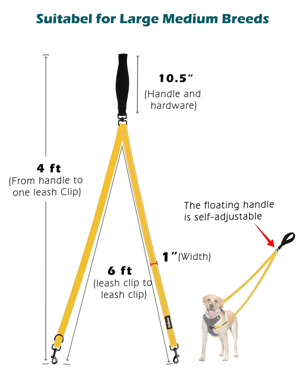 PetBonus modo convertible a correa de 4 pies para entrenamiento