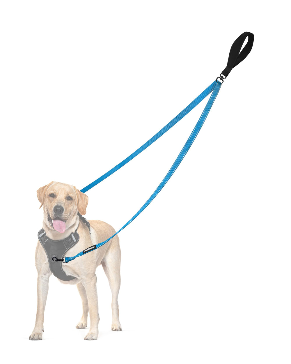 PetBonus correa de dos puntos para perro azul claro, control suave durante el paseo.