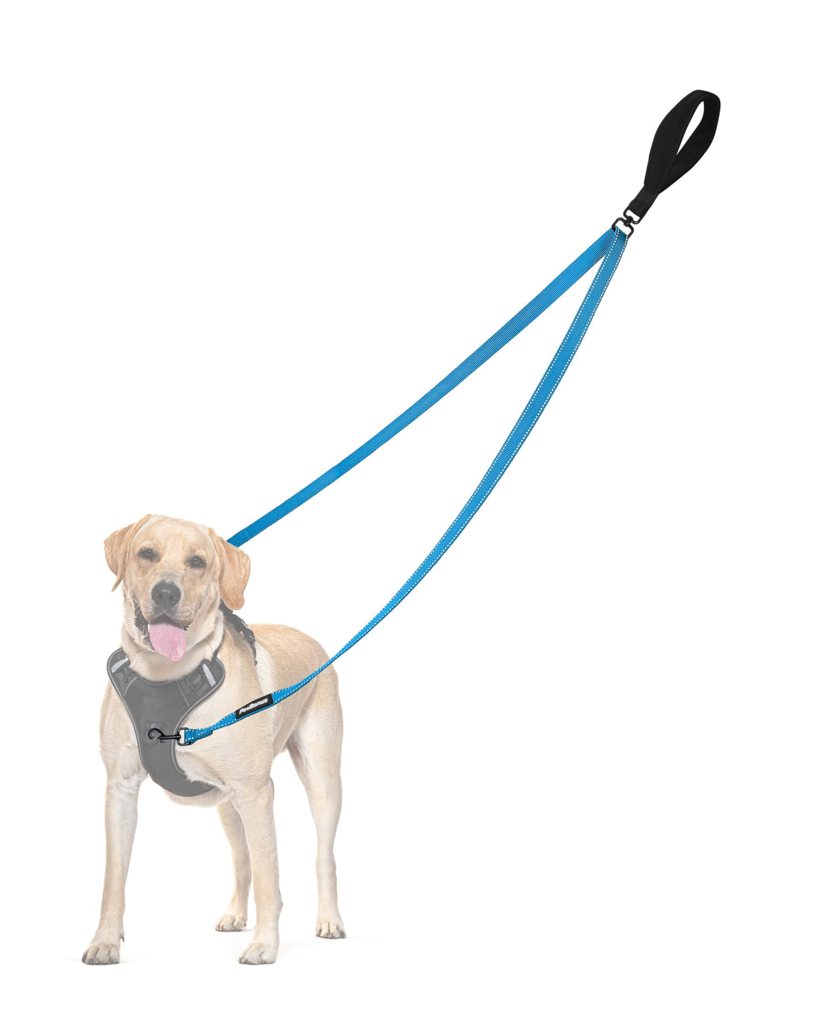 PetBonus correa de dos puntos para perro azul claro, control suave durante el paseo.