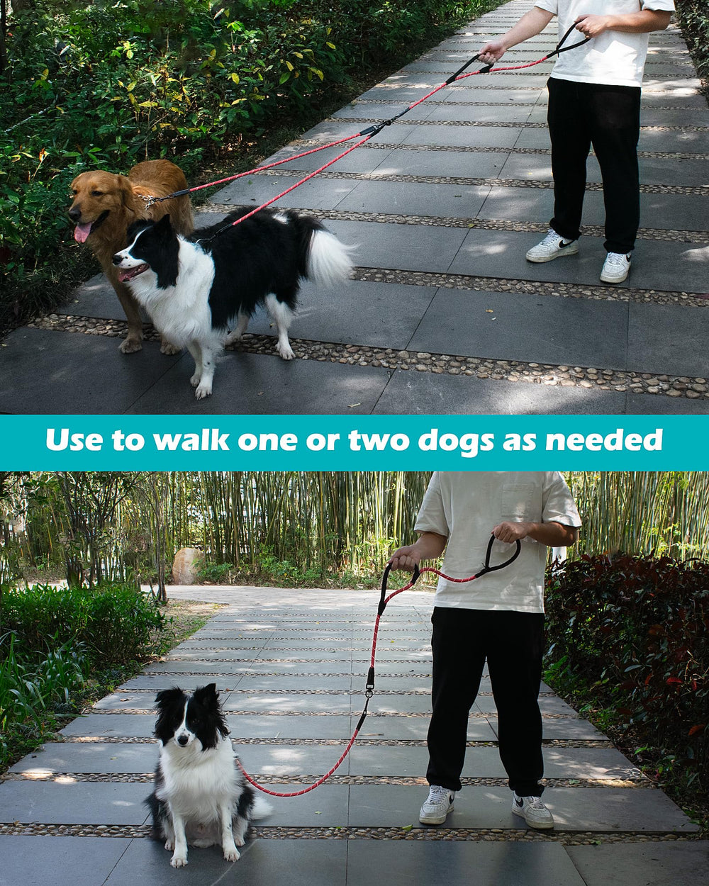 PetBonus diseño ligero para paseo cómodo con perros grandes