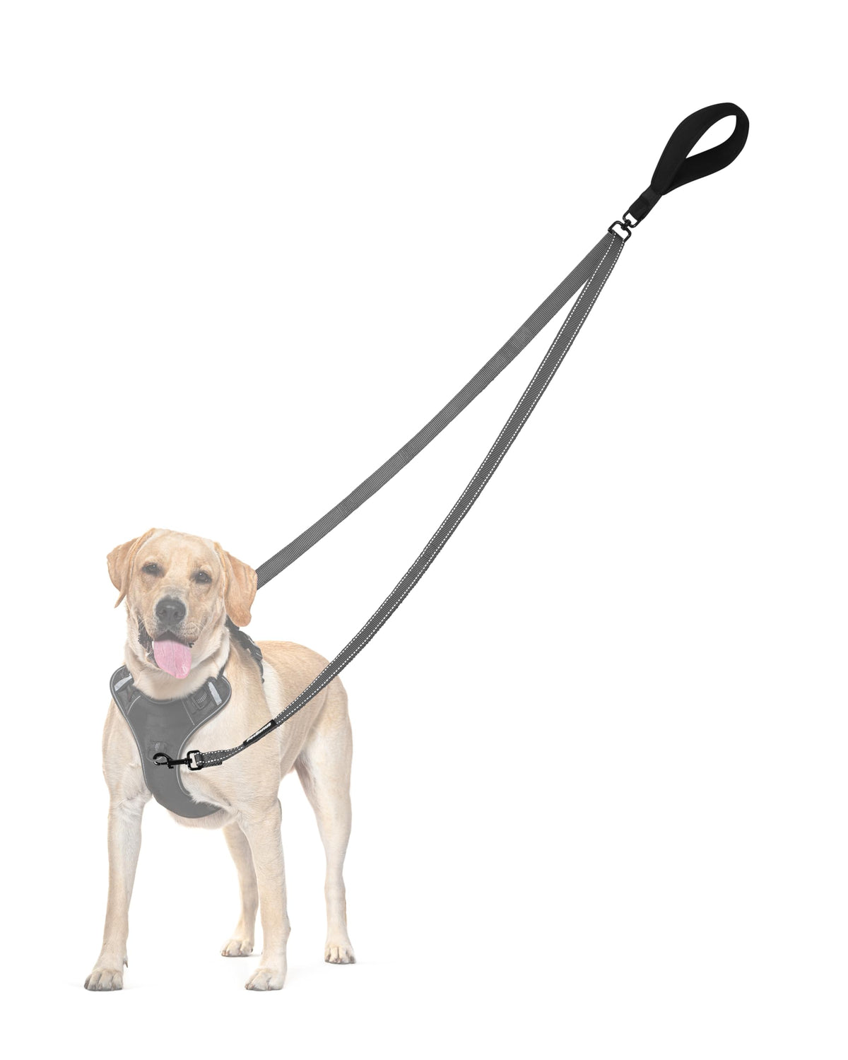 PetBonus correa para perro: dos puntos de control en frente para dirigir con precisión