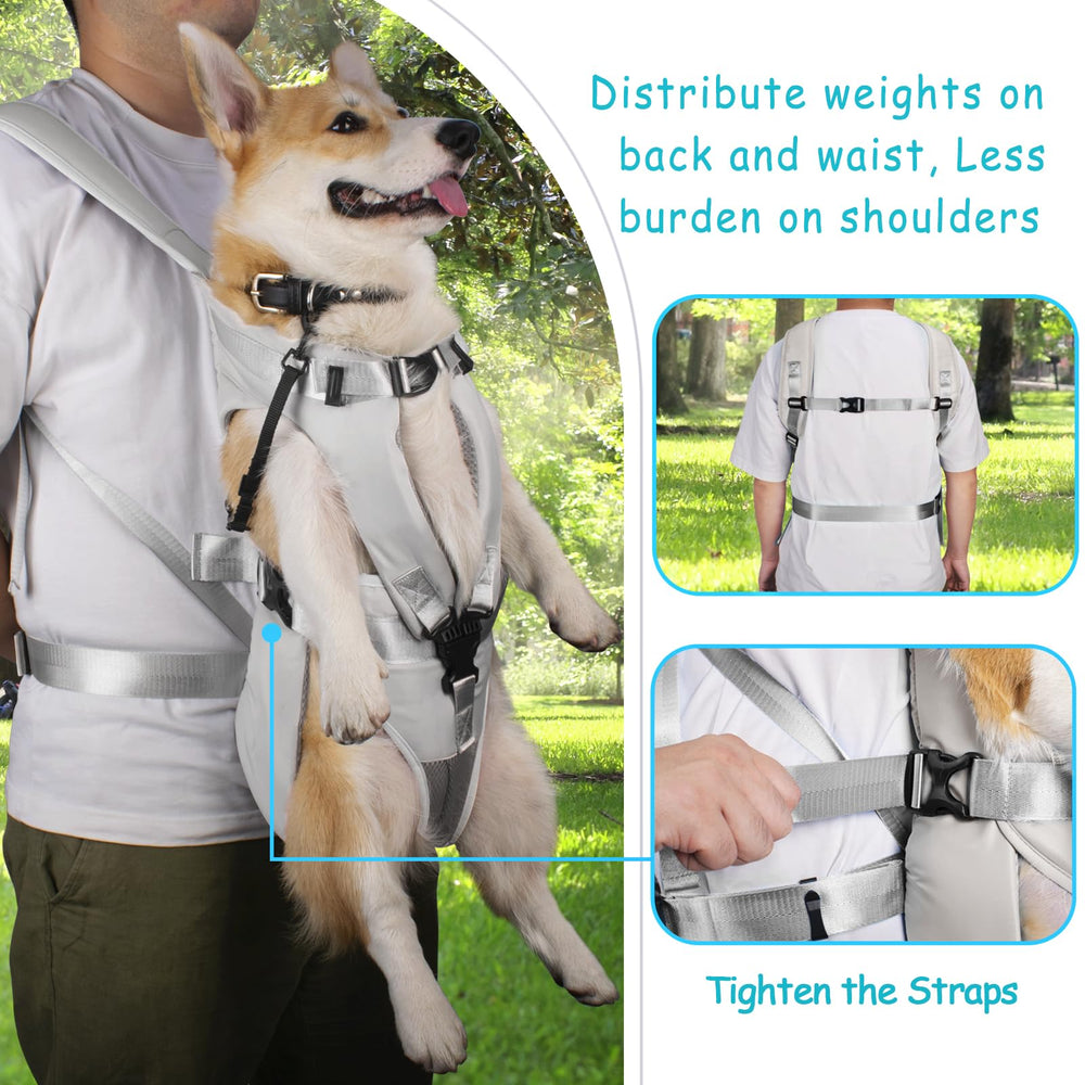 PetBonus detalle malla transpirable, mejor ventilación para tu mascota