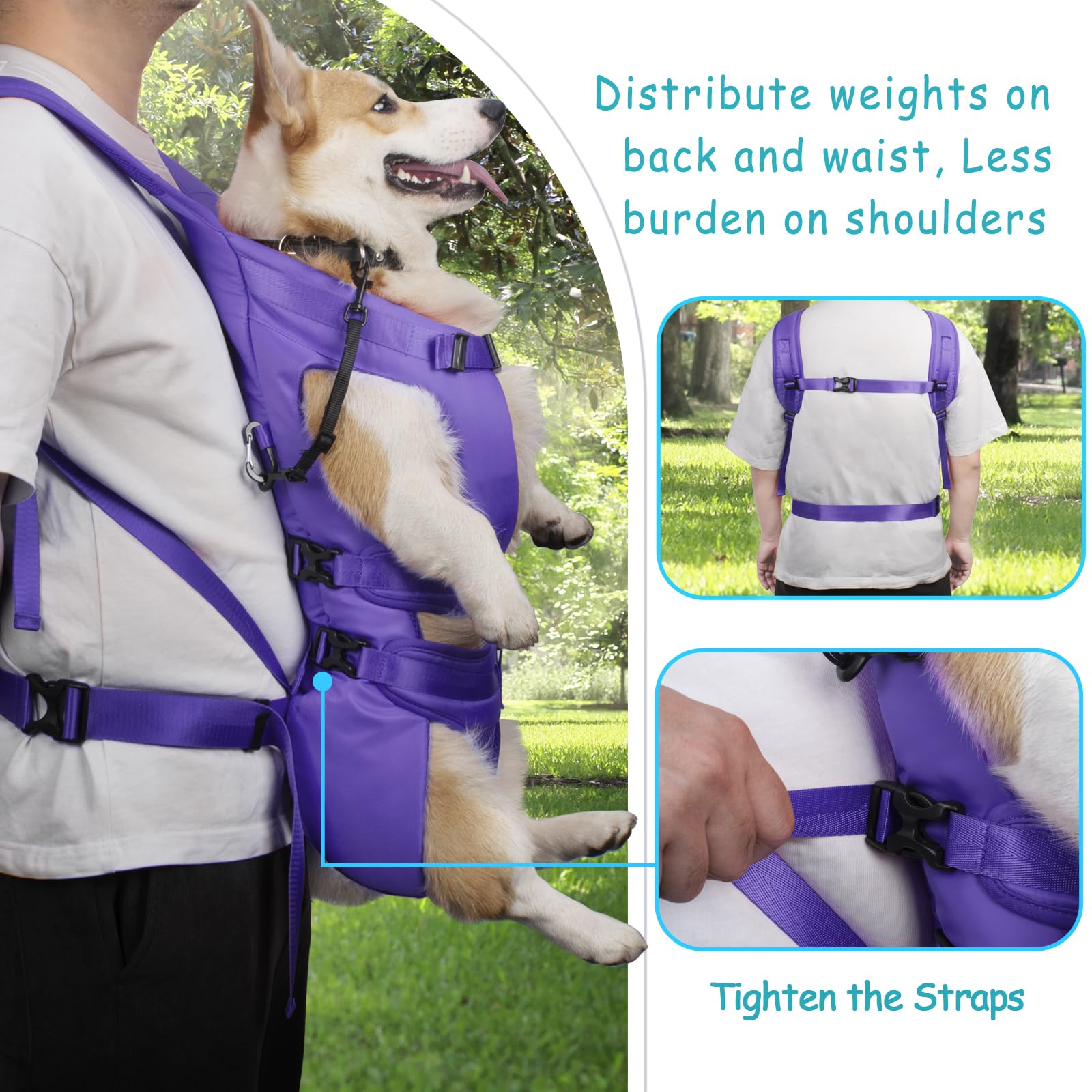 PetBonus diseño ergonómico con malla transpirable para mayor comodidad.