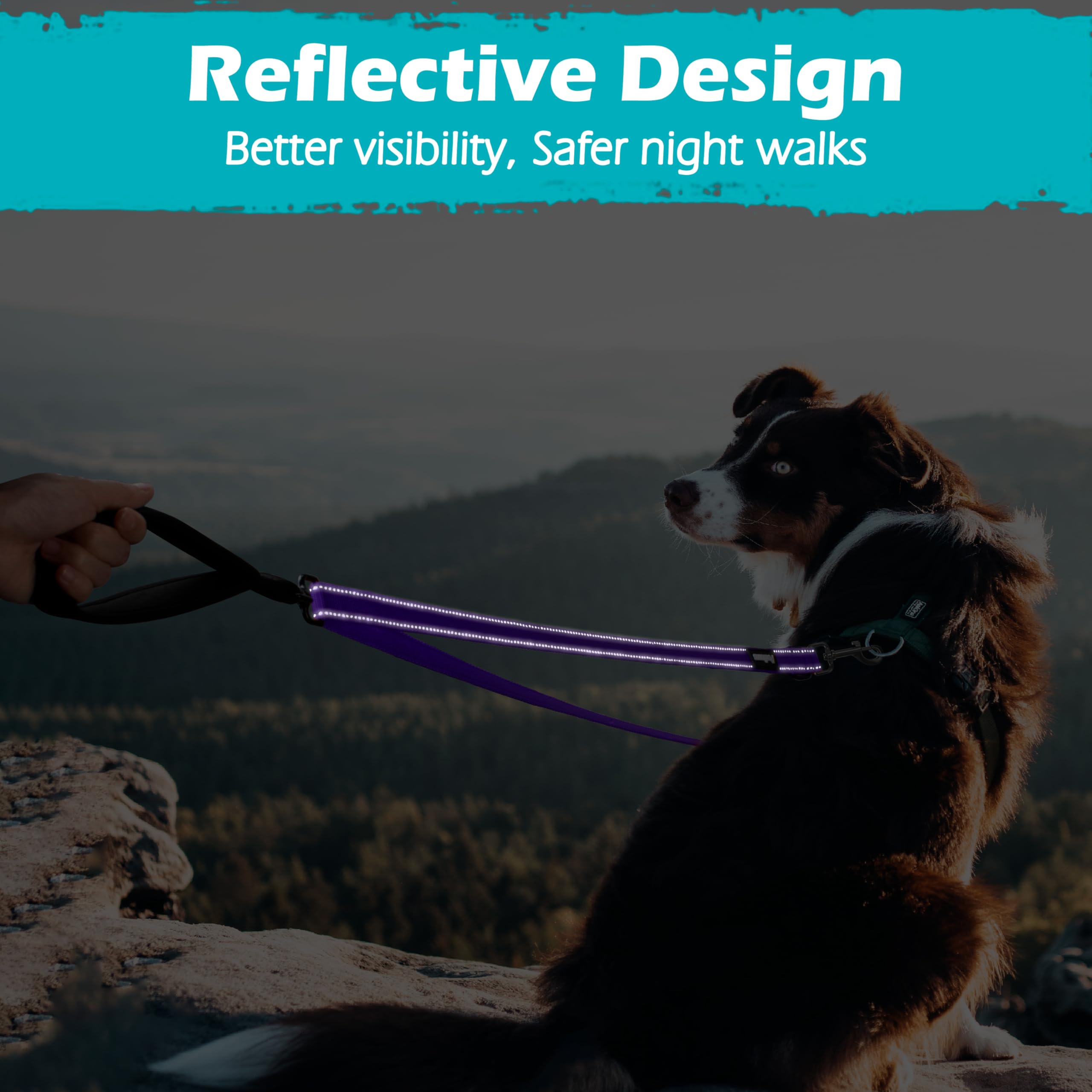 PetBonus diseño pensado para perros medianos y grandes durante paseos