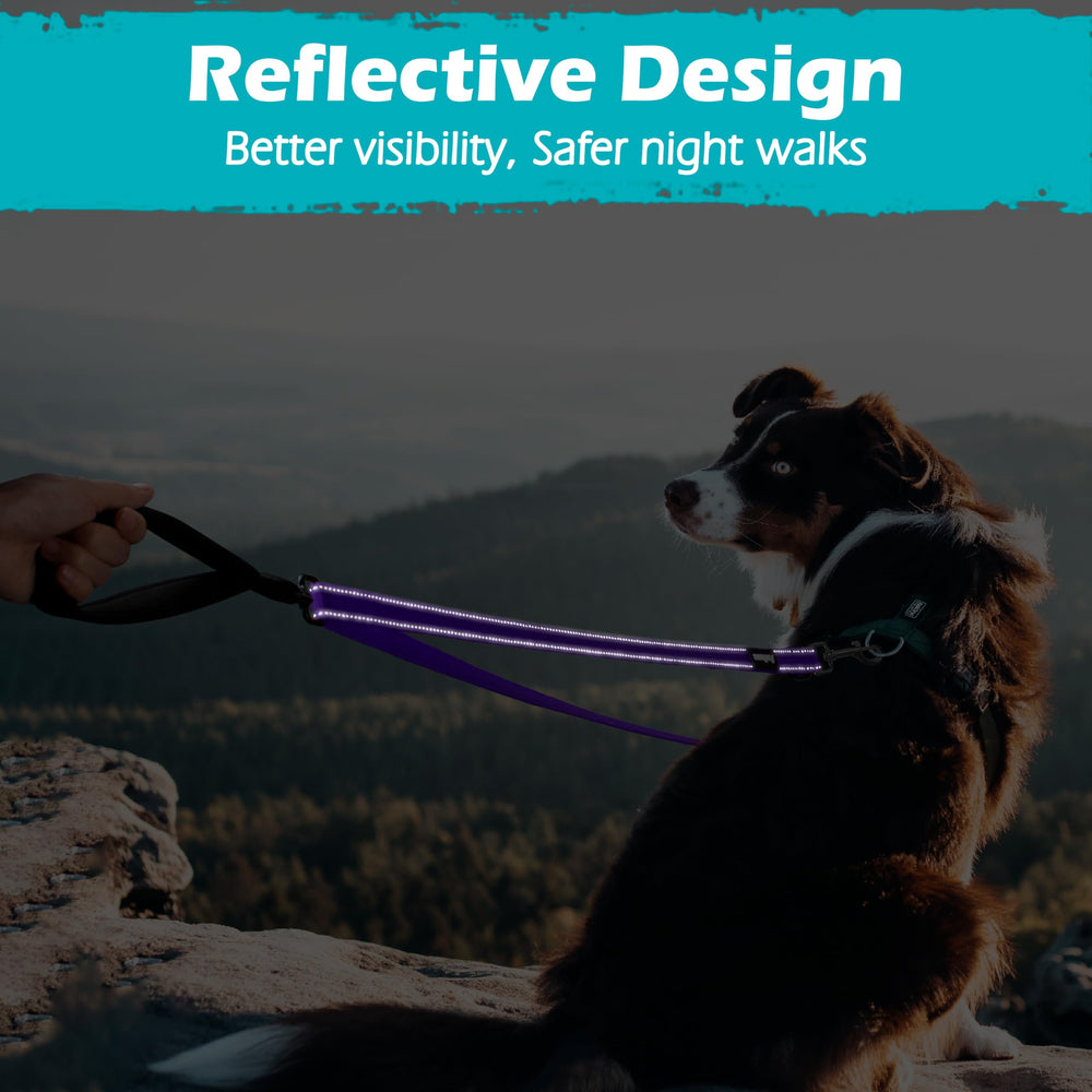 PetBonus diseño pensado para perros medianos y grandes durante paseos