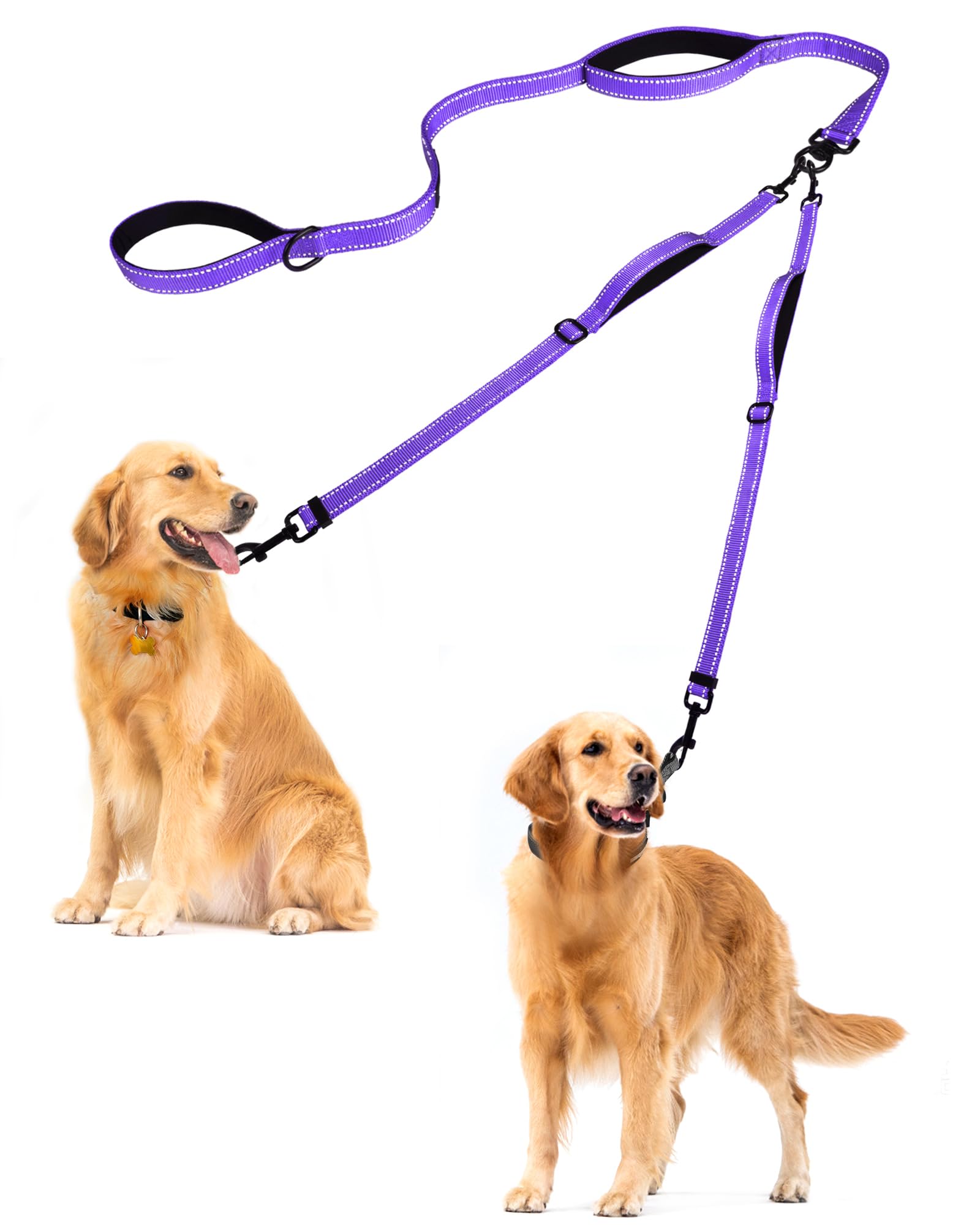 PetBonus Doble Correa para Perros sin Enredos, ideal para paseos ordenados.