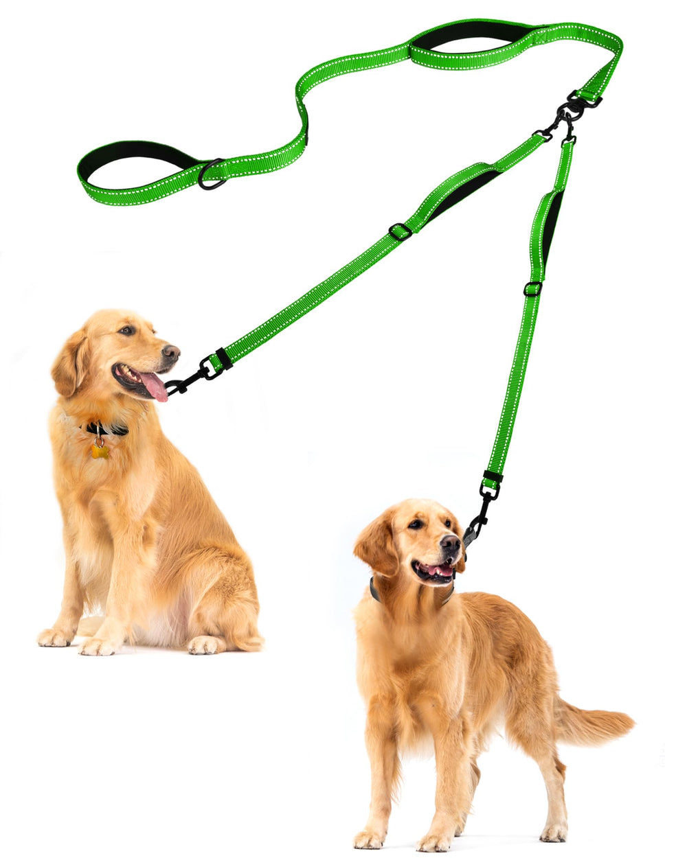 PetBonus doble correa para perros sin enredos, paseos más fluidos.