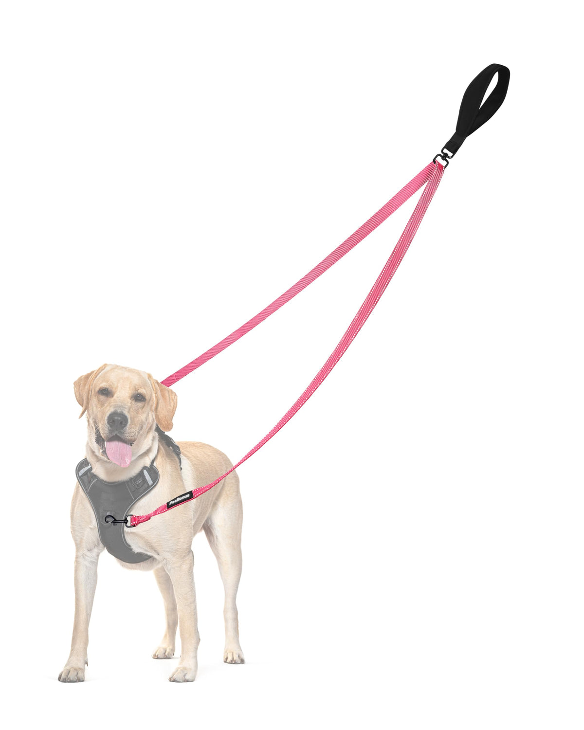 PetBonus doble punto de control para correa de perro, enfoque en manejo seguro rosa