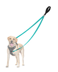 PetBonus dos puntos de control en la correa para perro turquesa, mejor control al caminar.