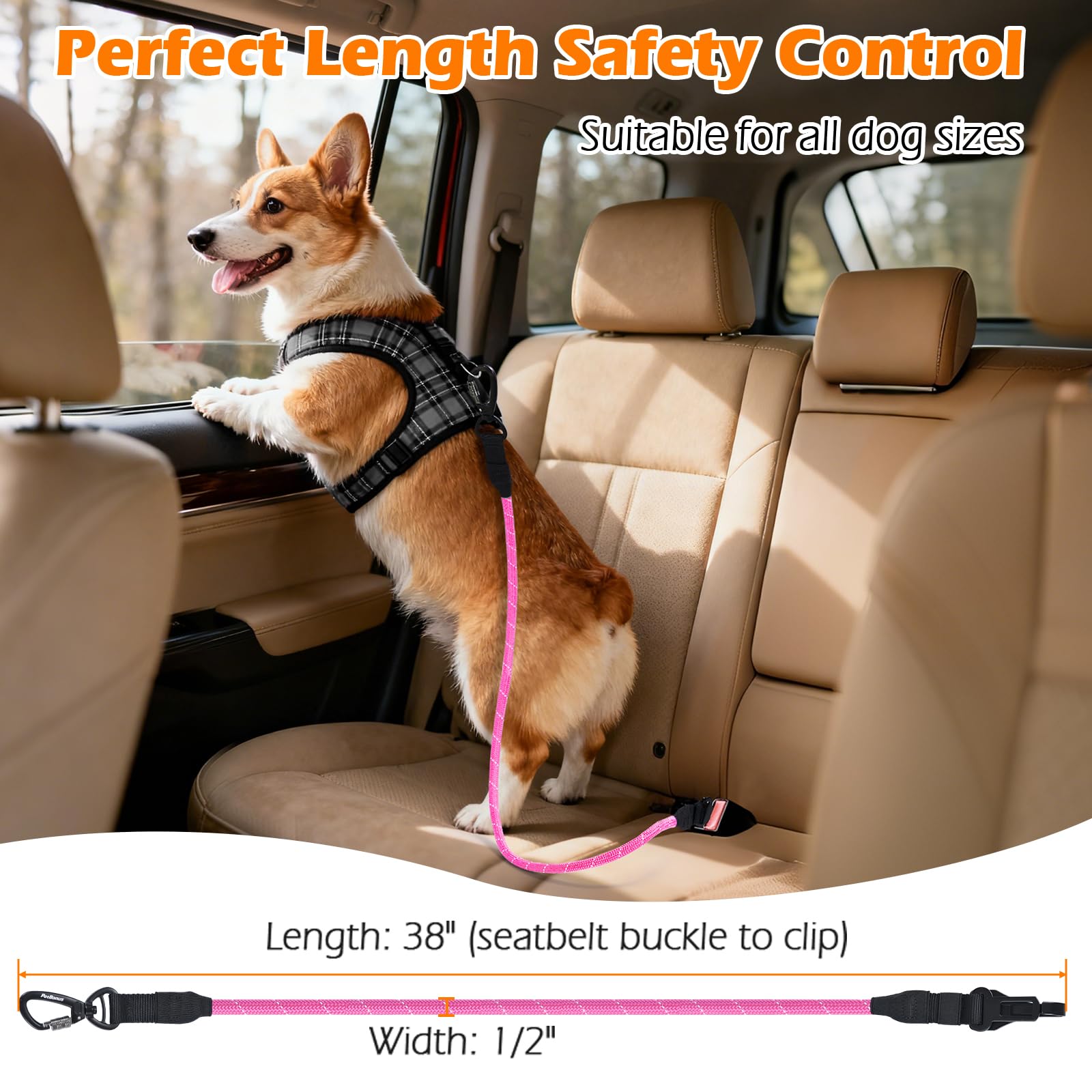 PetBonus durabilidad-cuerda-nylon: resistencia para perros activos y tirones controlados.