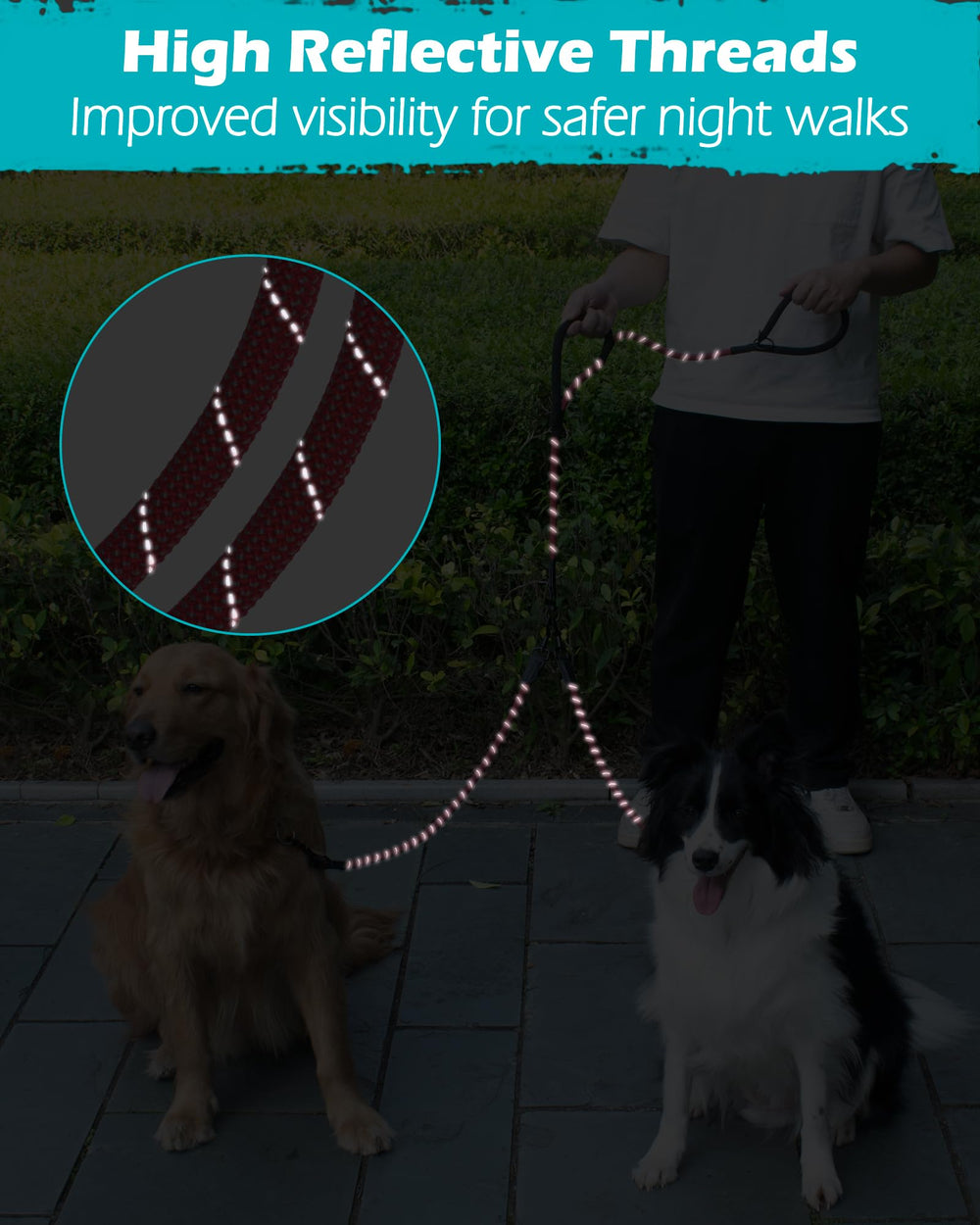 PetBonus enganche seguro para dos perros durante entrenamiento