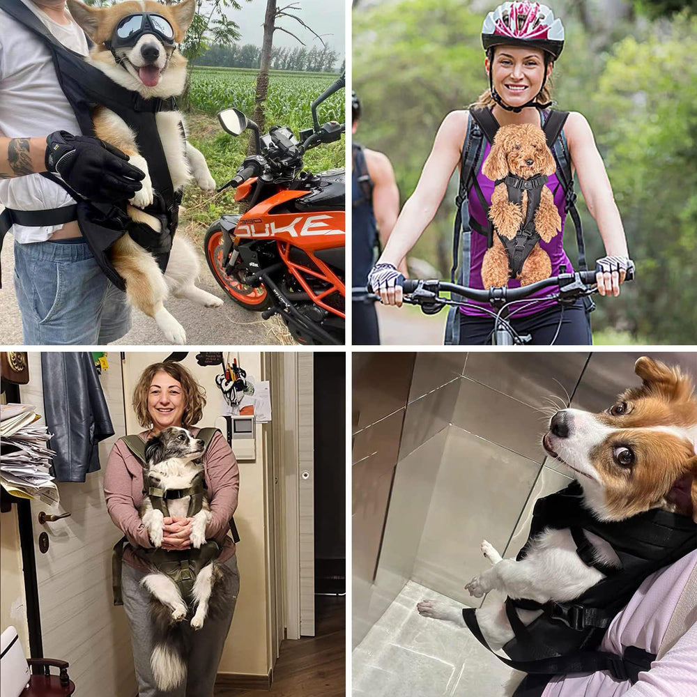 PetBonus Medidas y talla guía para elegir la adecuada.