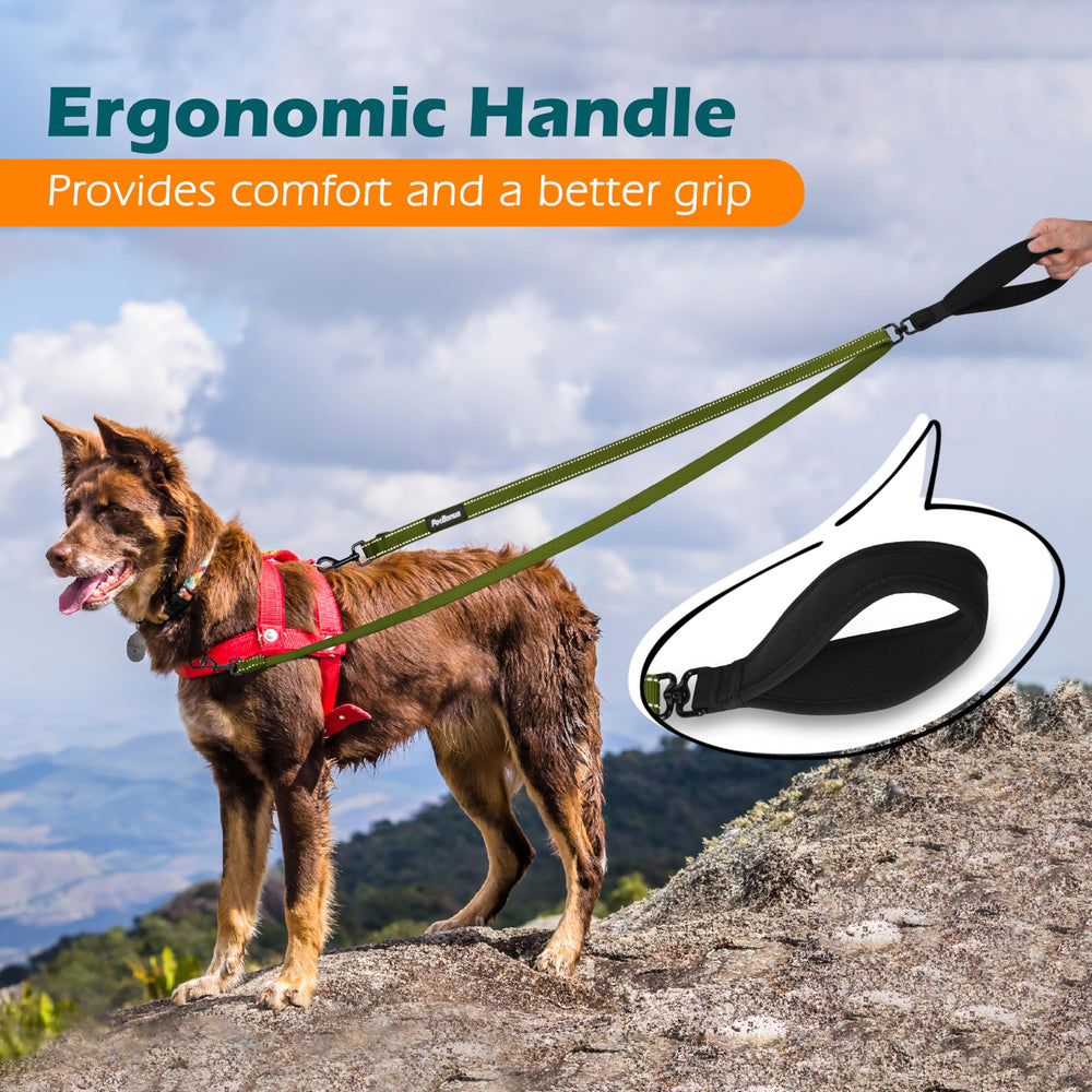 PetBonus pespunte reflectivo para paseos nocturnos seguros